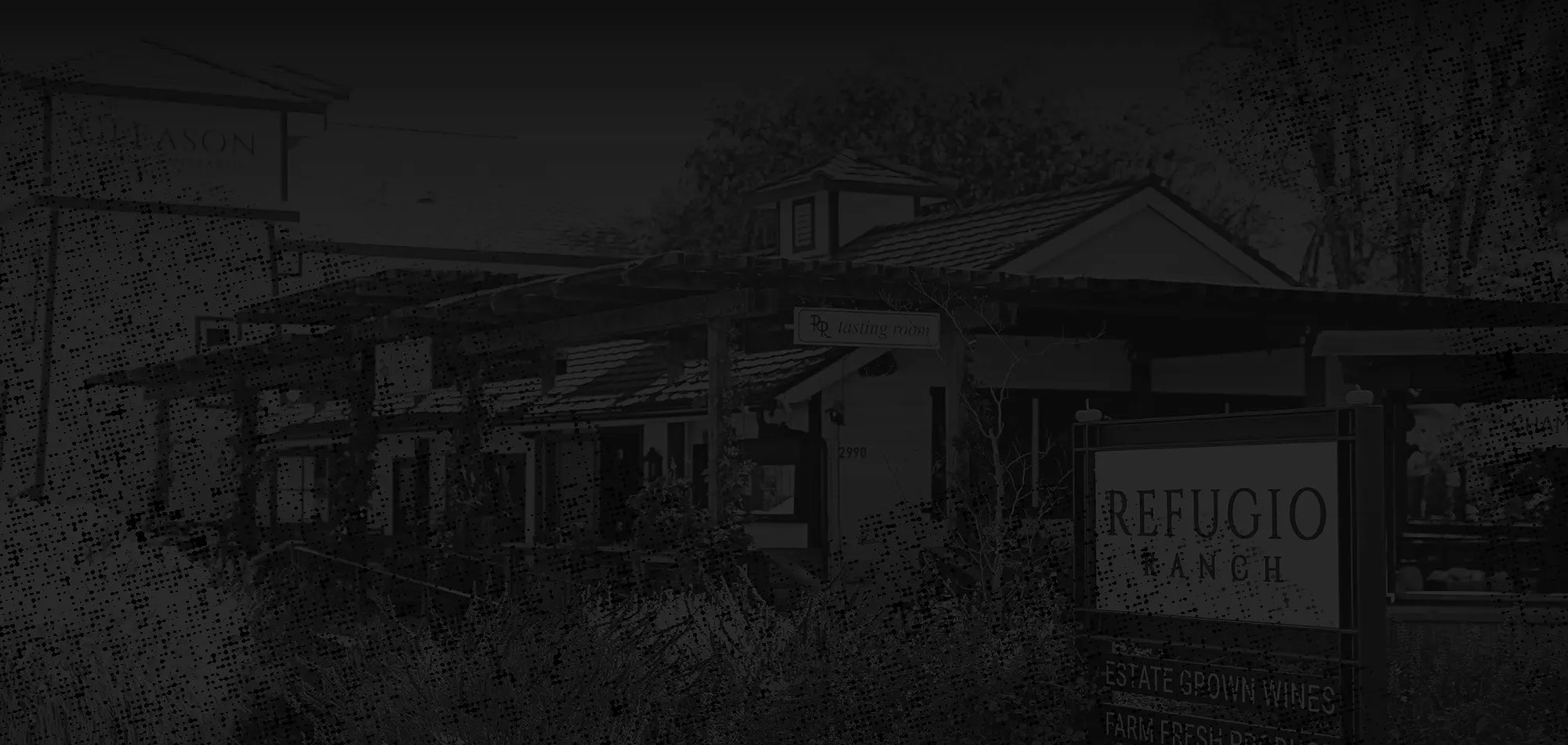 Refugio Ranch Los Olivos Vineyard