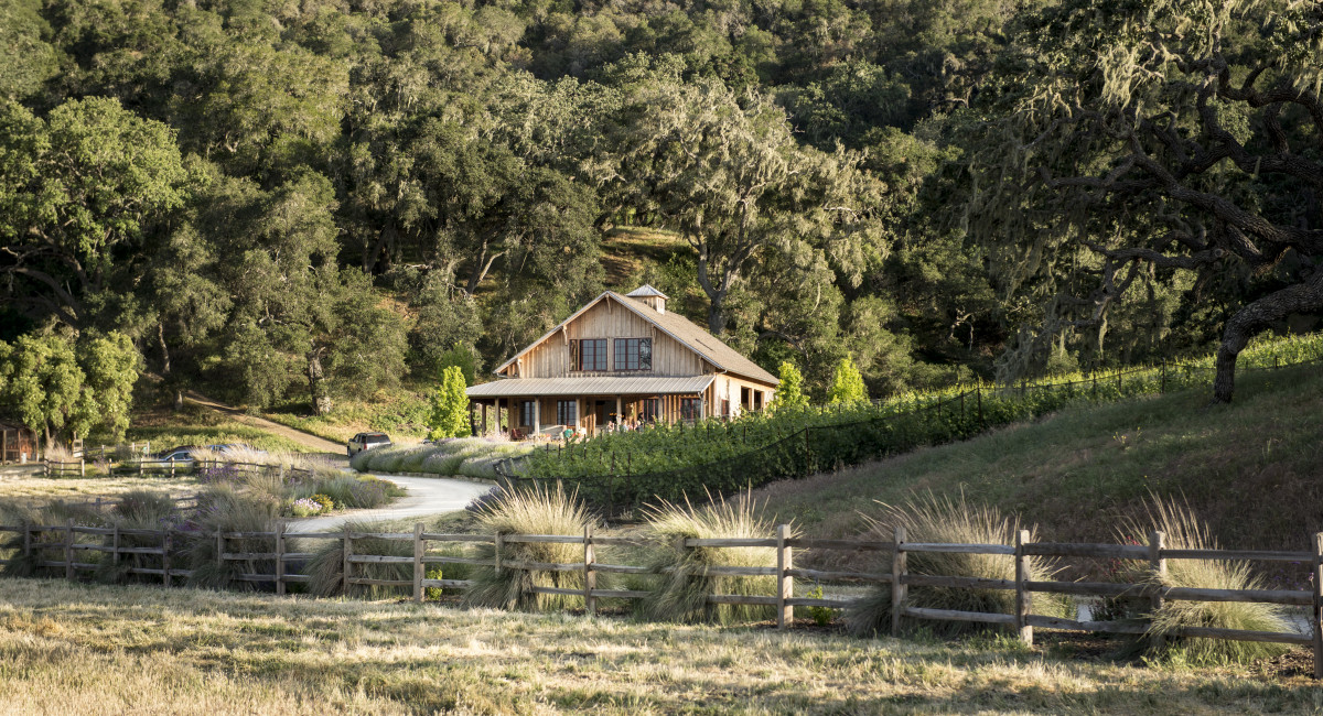 rr barn hidden behind vines